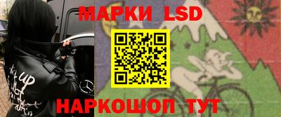 гидропоника Будённовск