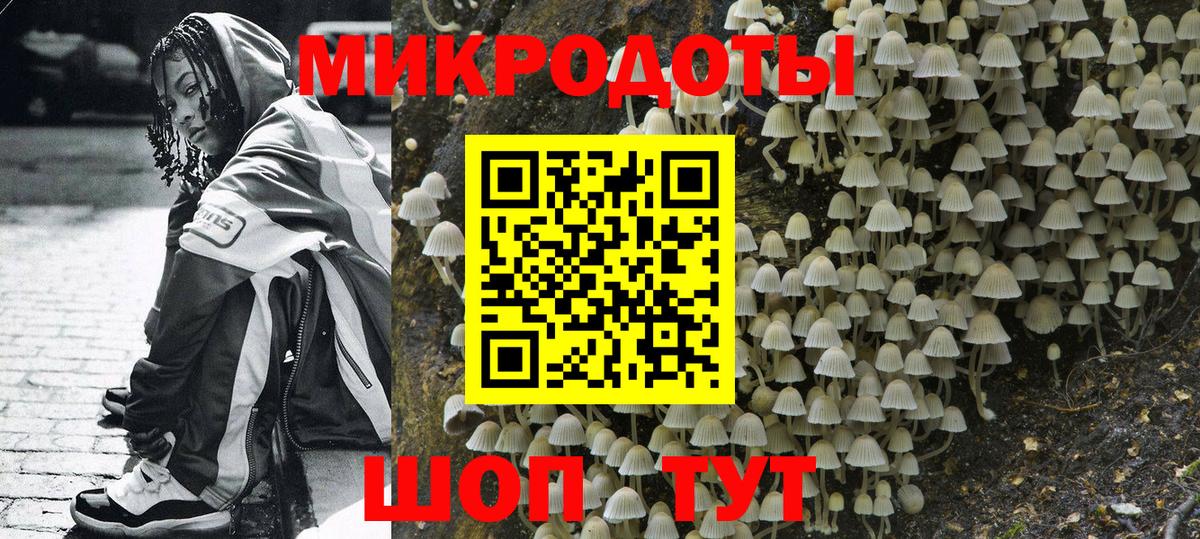 Находка  Псилоцибиновые грибы Psilocybine cubensis  Вход с VPN  Галлюциногенные грибы Cubensis 