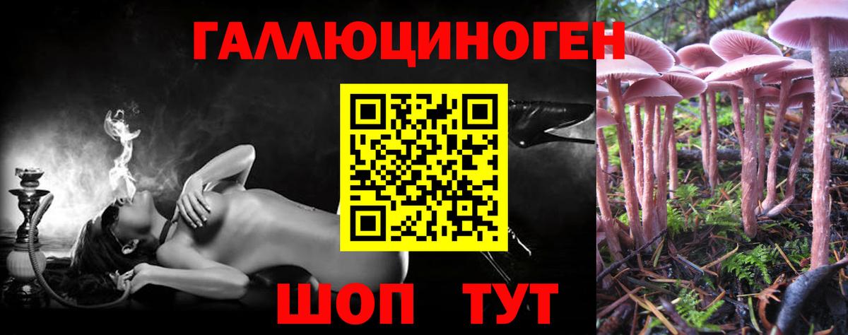 Галлюциногенные грибы MAGIC MUSHROOMS Находка