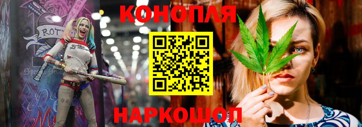 Конопля сатива Находка